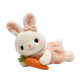 Cute Bunny Plush Toy with Carrot(30 Inches)